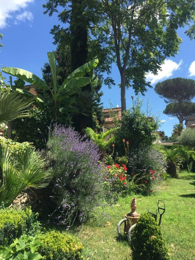 Apartament Edy House Castiglione In Teverina Zewnętrze zdjęcie